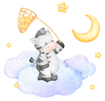 bambino zebra e stella png