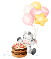 Birthday Cute Zebra png