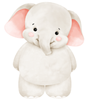 elefante bebê fofo png