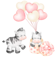 Cute Zebra on gitf box png