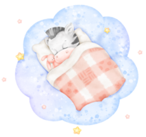 linda cebra dormido en nube png