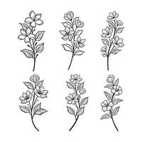 Trendy botanical elements, Hand drawn line leaves branches and blooming vector