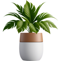Realistic plant on pot. AI Generative png