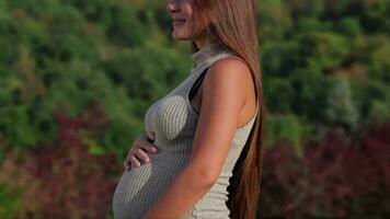 contento joven embarazada mujer sonriente a el cámara video