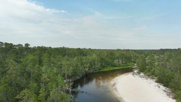 río y bosque panorama zumbido fotografía aéreo ver foto