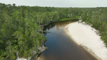 River and forest panorama drone photography aerial view photo