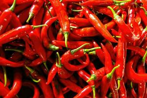 a bunch of chilies arranged randomly and photographed from above photo