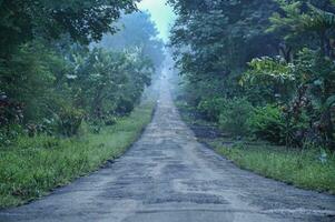 un pueblo camino y la carretera en Entre bosque de madera foto