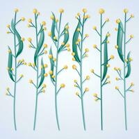 Set of vector branches or stems of field grass with leaves and yellow flowers.