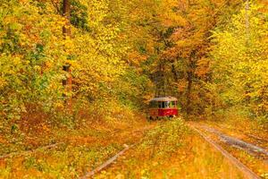 Autumn forest through which an old tram rides Ukraine photo