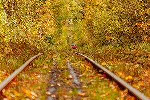 Autumn forest through which an old tram rides Ukraine photo