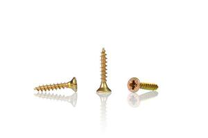 macro screw of golden color on a white background photo