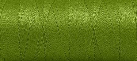 Texture of threads in a spool of green color on a white background photo