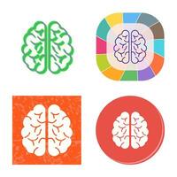 Brain Vector Icon