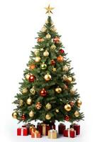 Photo of Christmas Tree with isolated white background