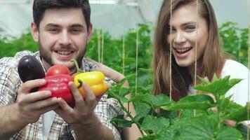 giovane agronomi tenere sotto controllo il raccogliere video