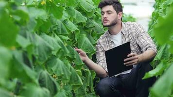 Guy sitting between the green rows with clipboard video