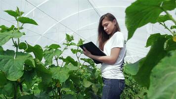 Girl agronomist wrote then smiling directly at the camera video