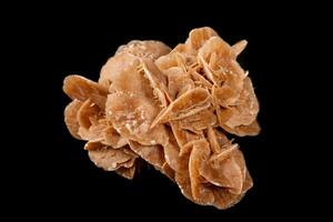 Macro mineral stone desert rose or sand rose on a black background photo