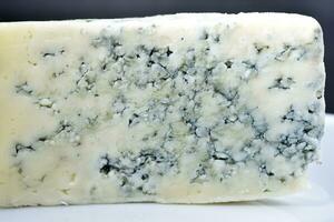 A piece of cheese with blue mold on a white plate. Delicious cheese. photo