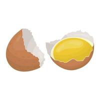 Raw eggs flow out of the shell. Vector illustration