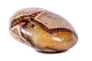 Macro mineral stone Simbirzit and Septaria on white background photo