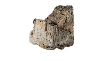 Macro mineral stone Schorl, Black Tourmaline on the feldspar on a white background photo