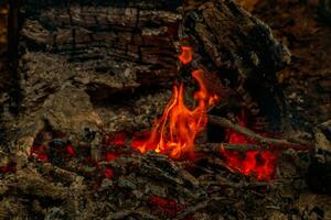 texture flame from burning logs at night photo