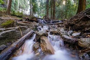 un cascada fluye mediante un bosque en el medio de el bosque foto