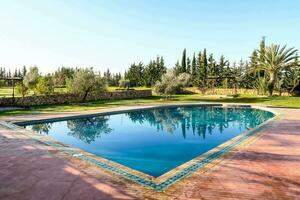 a pool in the middle of a garden with olive trees photo