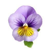 ai generiert Stiefmütterchen png isoliert Stiefmütterchen Blume png lila Stiefmütterchen Blume transparent Hintergrund