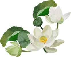 acuarela blanco loto flor ramo de flores guirnalda marco png