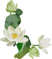 vattenfärg vit lotus blomma bukett krans ram png