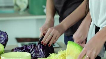 Girlfriends sliced vegetables for a picnic video