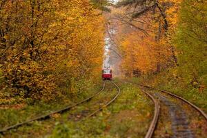 autumn forest among which goes a strange tram photo