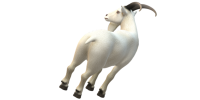 Goat isolated on a Transparent Background png