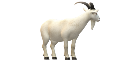 Goat isolated on a Transparent Background png
