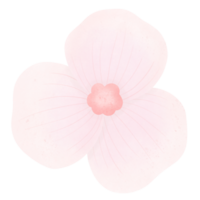 fiore rosa png