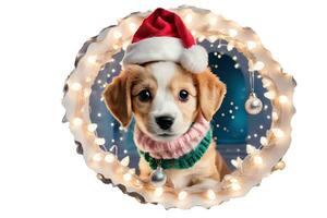 graphics of a puppy in a Santa Claus hat looking through a hole photo