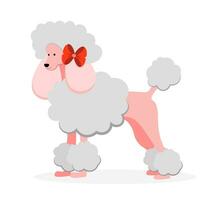 Pink poodle on white background vector