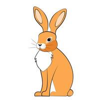 Red hare on white background vector