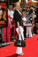 Maria Bello Kung Fu Panda LA Premiere Graumans Chinese Theater Los Angeles CA May 31 2008 photo