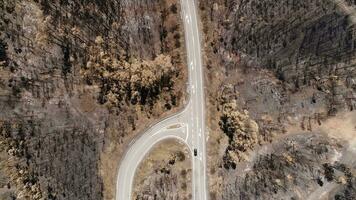 aéreo ver de quemado bosque y la carretera video