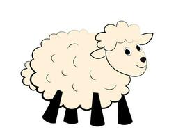 Sheep on a white background vector