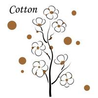 A sprig of cotton on a white background vector