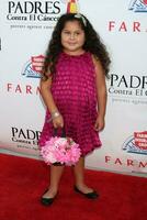 Daniella Baltodano arriving at the PADRES Contra El Cancer 9th Annual Gala at the Hollywood Palladium in Los Angeles CA on September 10 2009 photo