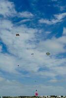 a group of people flying kites in a field photo