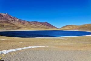 Miniques Altiplanic Lagoon in the Atacama Desert - San Pedro de Atacama. photo