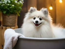 sereno perro disfrutando un masaje a un mascota spa ai generativo foto