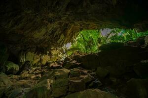 el arboles paisaje encontró en el cueva conocido como hup Pensilvania hacer encaje. invisible en tailandia foto